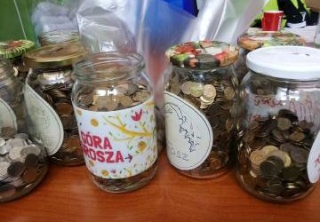 Podsumowanie akcji Góra grosza