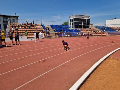 image5.jpg