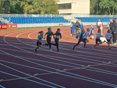 image7.jpg