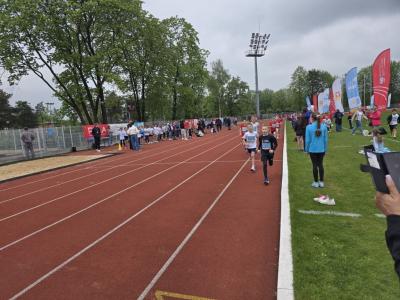 image13.jpg